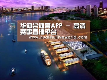 案例展示八