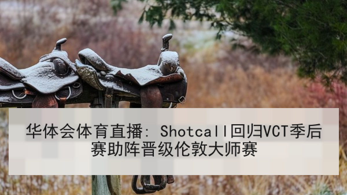 华体会体育直播: Shotcall回归VCT季后赛助阵晋级伦敦大师赛