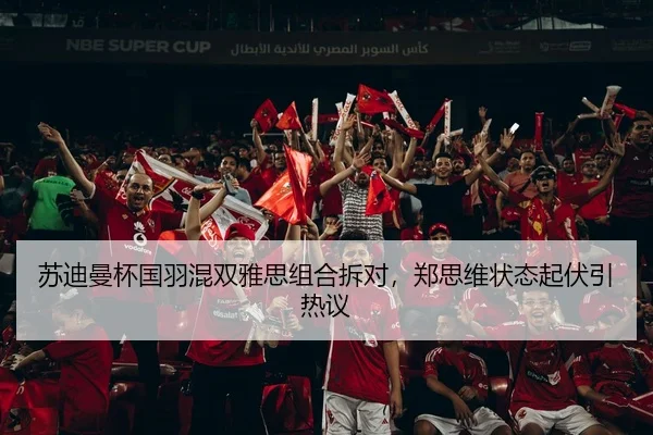 苏迪曼杯国羽混双雅思组合拆对，郑思维状态起伏引热议