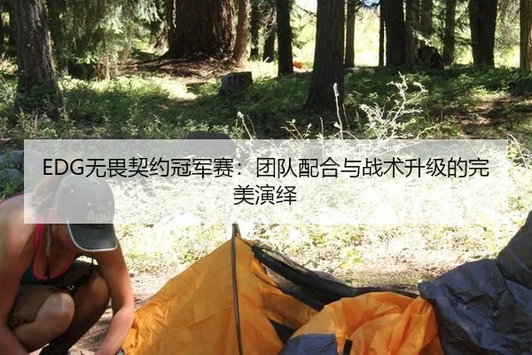 EDG无畏契约冠军赛：团队配合与战术升级的完美演绎