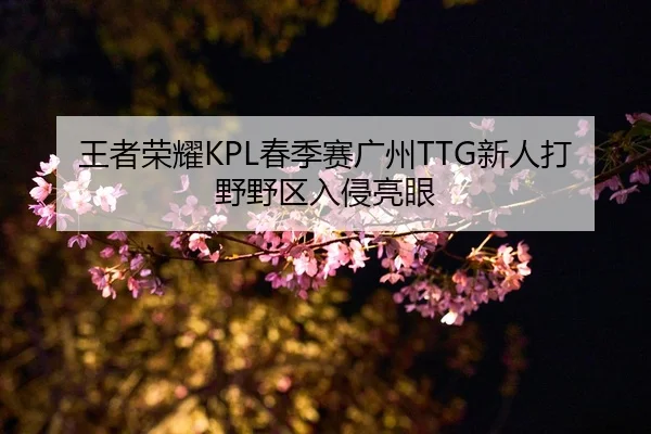 王者荣耀KPL春季赛广州TTG新人打野野区入侵亮眼