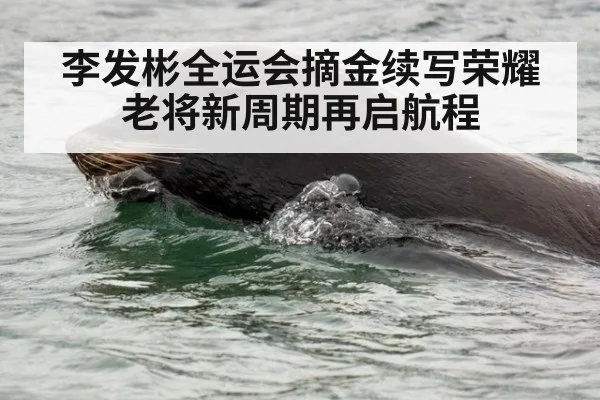 李发彬全运会摘金续写荣耀 老将新周期再启航程