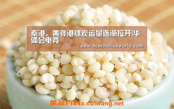 秦港、黄骅港煤炭运量逐渐拉开|华体会电竞(图4) 华体会赛事