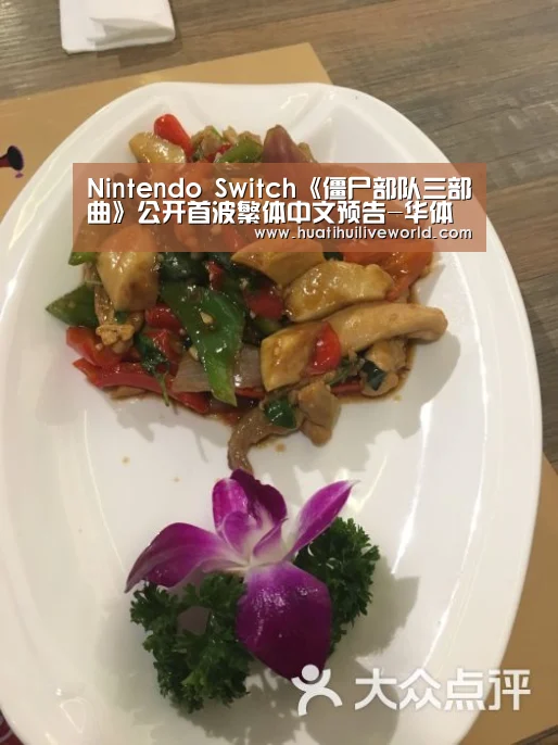 Nintendo Switch《僵尸部队三部曲》公开首波繁体中文预告-华体会真人(图2) 华体会电竞