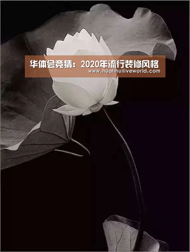 华体会竞猜:2020年流行装修风格(图2) 华体会竞猜