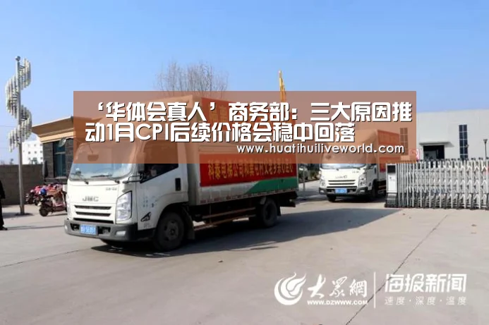 ‘华体会真人’商务部:三大原因推动1月CPI后续价格会稳中回落(图4) 华体会电竞